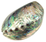 abalone_mobile